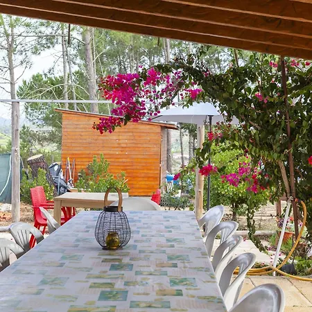 בית אירוח Montes De Praias *